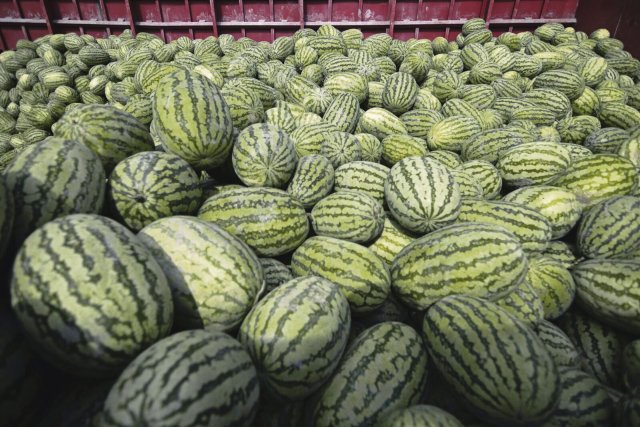 Wassermelonen auf einem regionalen Markt in Bangladesh.