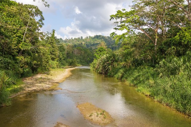 Anstrengungen im Reservat zur Regenwalderhaltung dienen auch dem Schutz der Wasserversorgung der Region Limón durch den Bananito-Fluss.