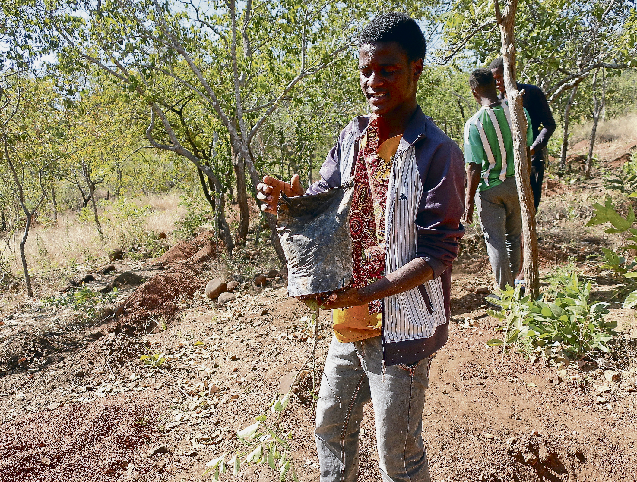 ème campagne de solidarité : Zimbabwe : récolter de l’eau, utiliser du fumier