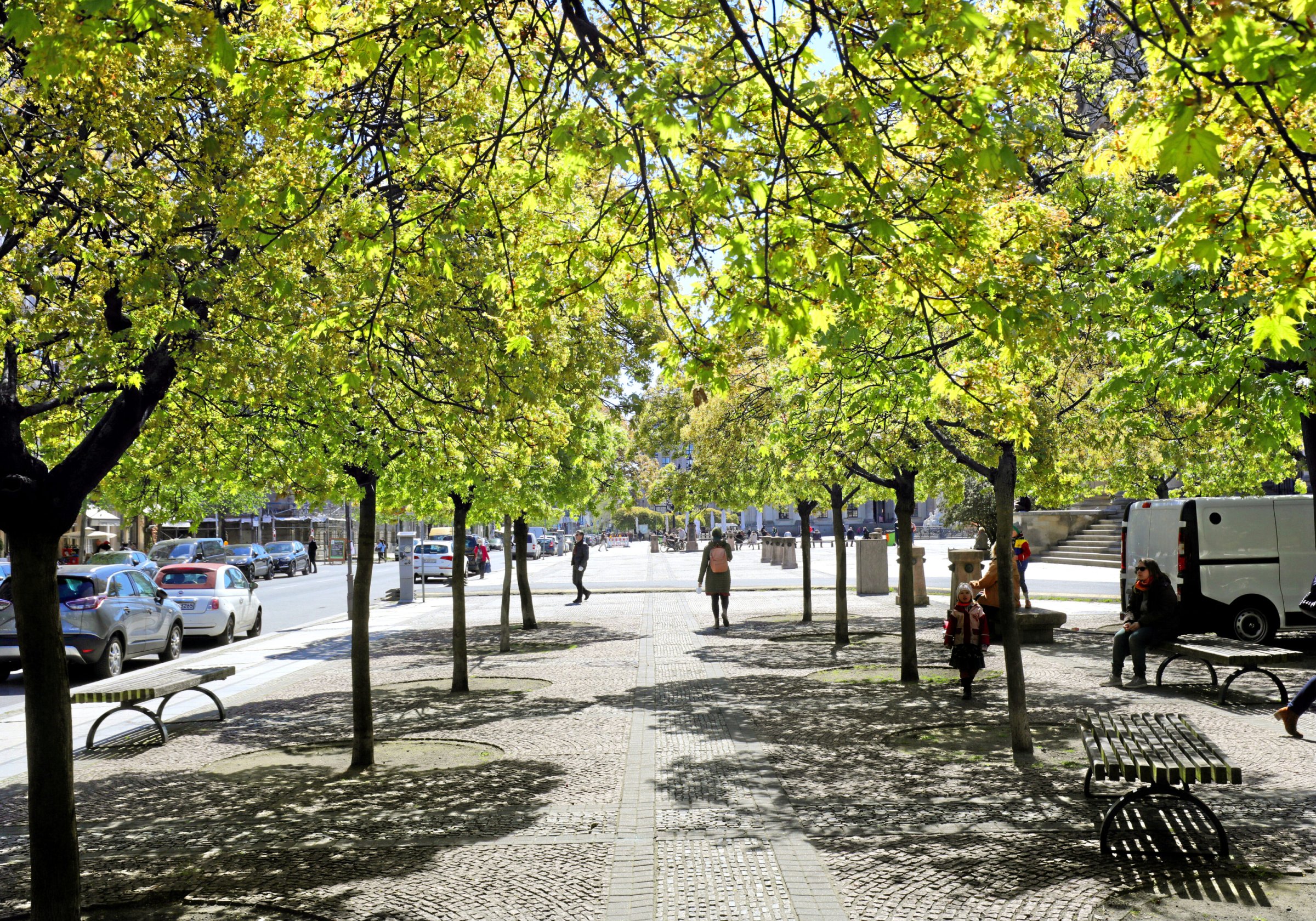 Klimaanpassung-Initiative-Baumentscheid-Weg-frei-f-r-mehr-Stadtb-ume-in-Berlin