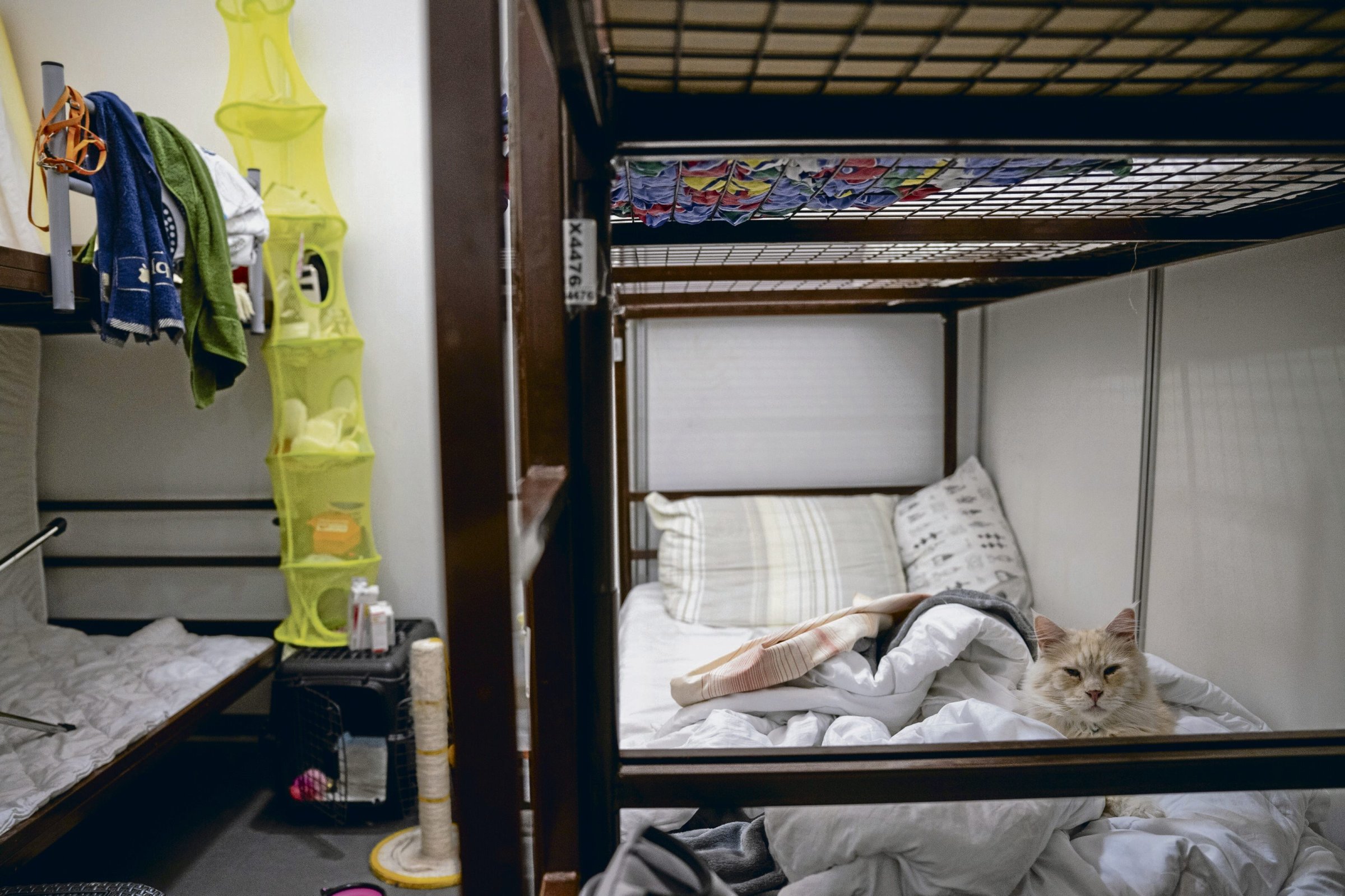 Berliner-Fl-chtlingsrat-Wohngeb-hren-f-r-Gefl-chtete-763-Euro-f-r-ein-Stockbett