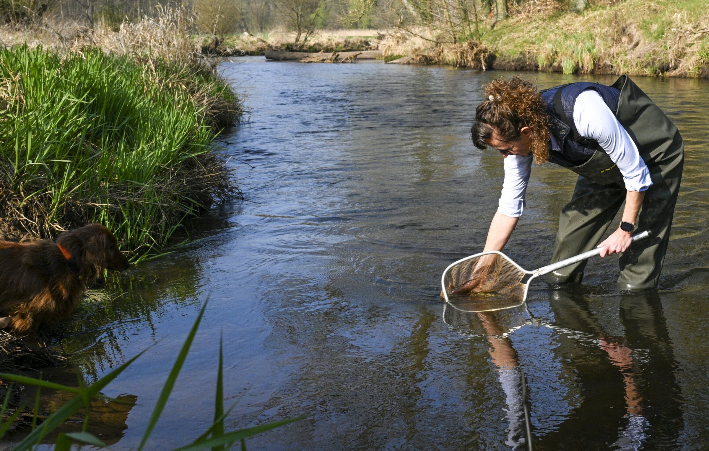 Naturschutz-Ist-das-Naturschutz-oder-kann-das-weg-