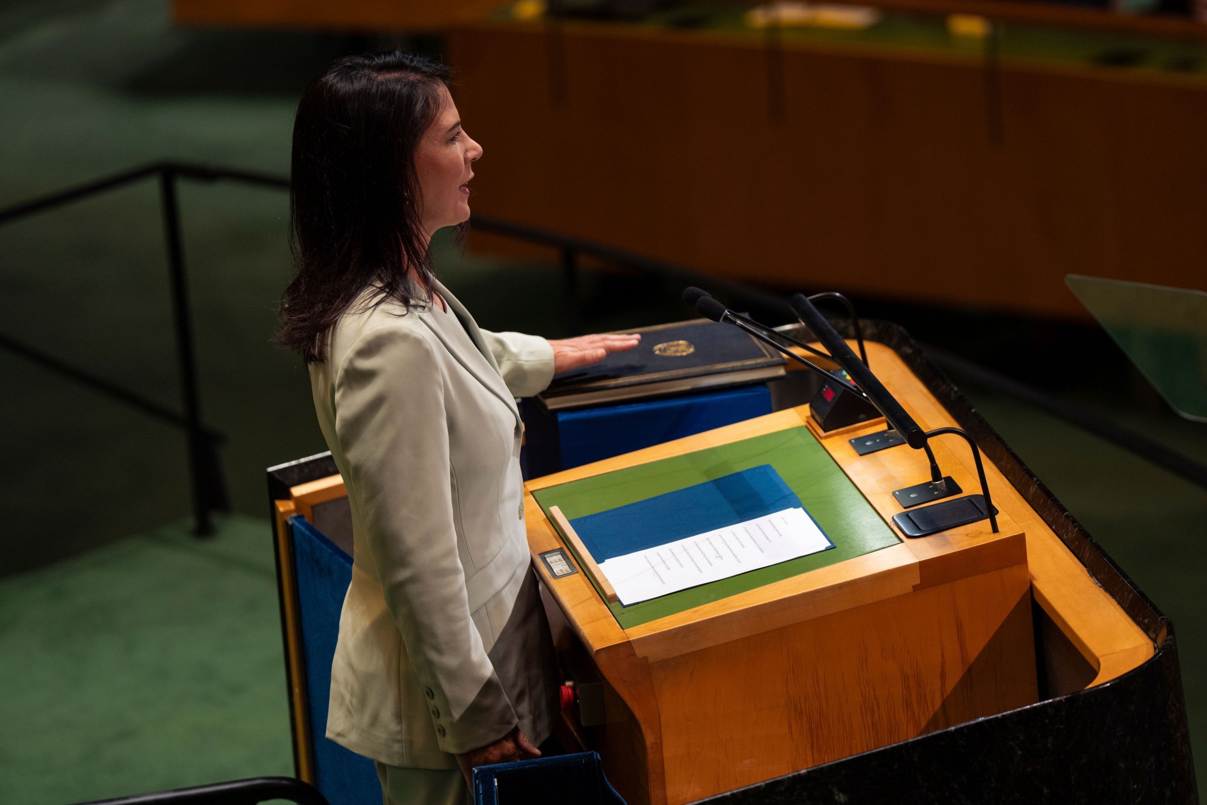 Krieg-in-Nahost-Strafantrag-Deutsche-Minister-hinter-Gitter-