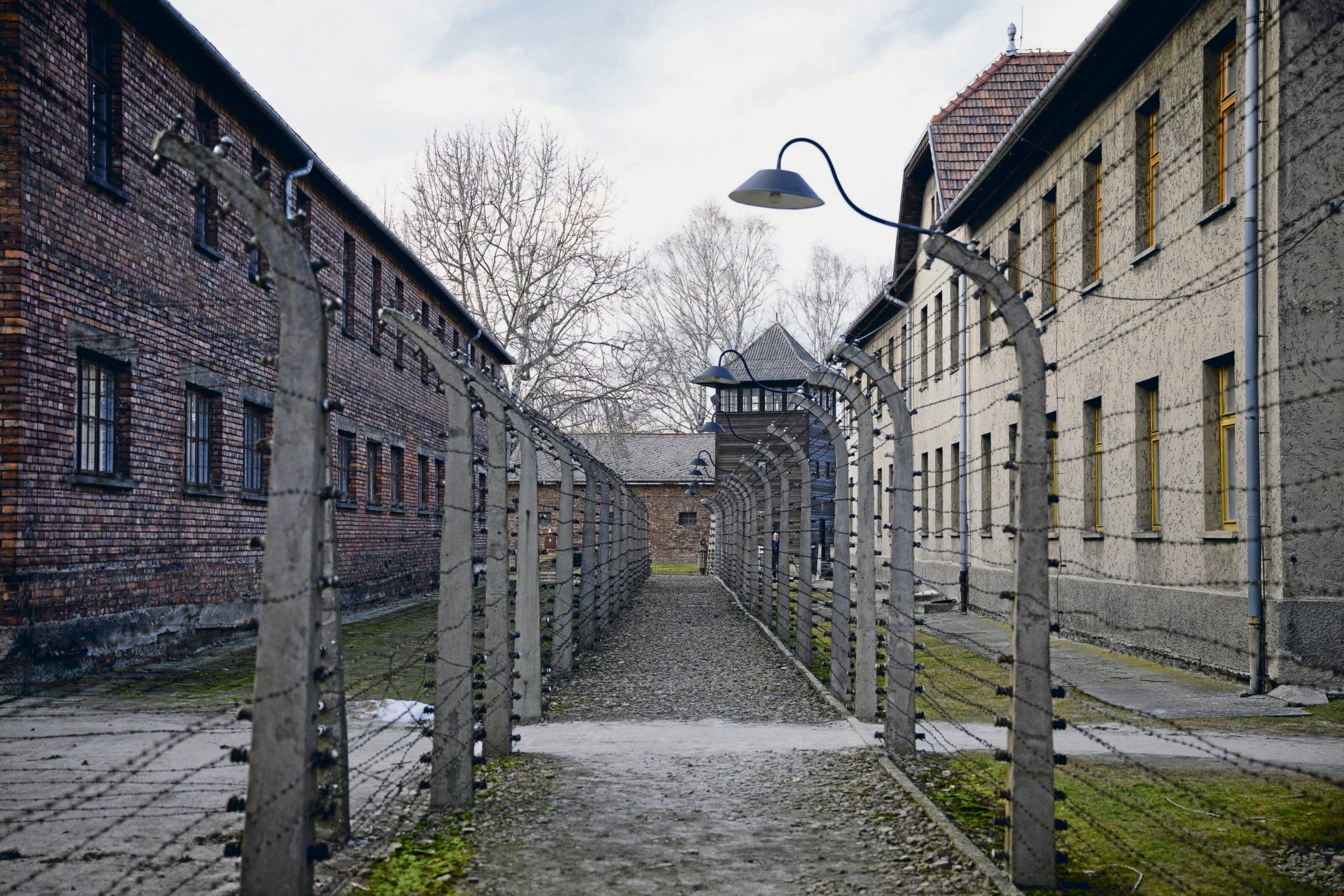 Amtsgericht | Strausberg: Antifaschismus auf Messers Schneide