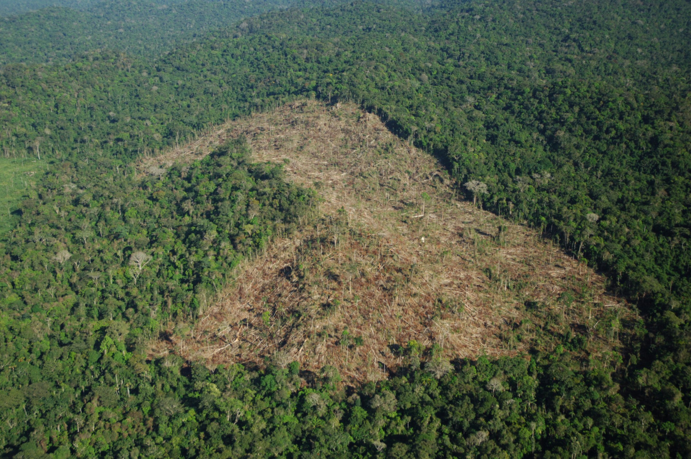 Vor-der-Weltklimakonferenz-Der-Preis-des-Fortschritts-im-Amazonas-Regenwald