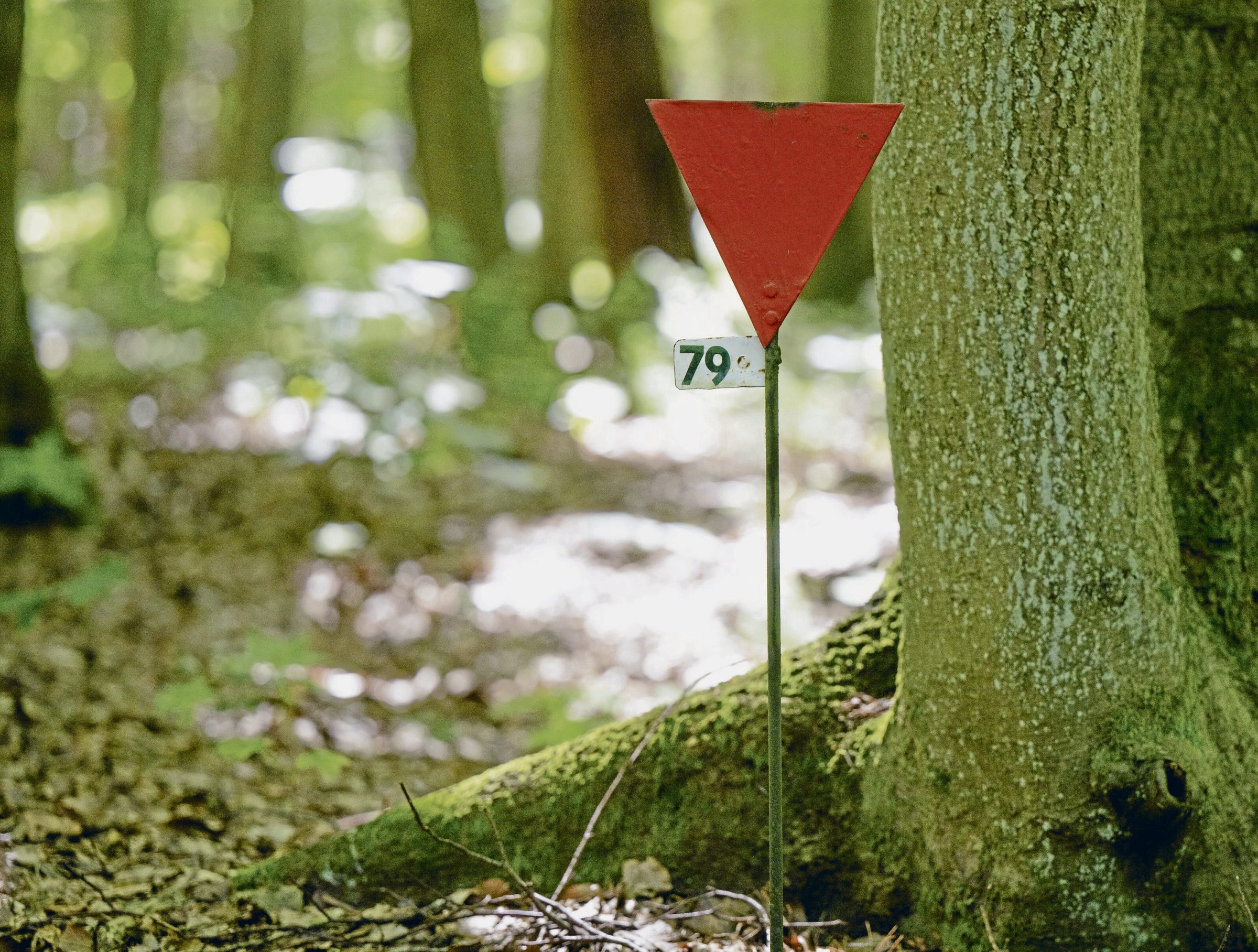 Rotes-Dreieck-Winkel-der-politischen-KZ-H-ftlinge-als-Hamas-Zeichen-verd-chtigt