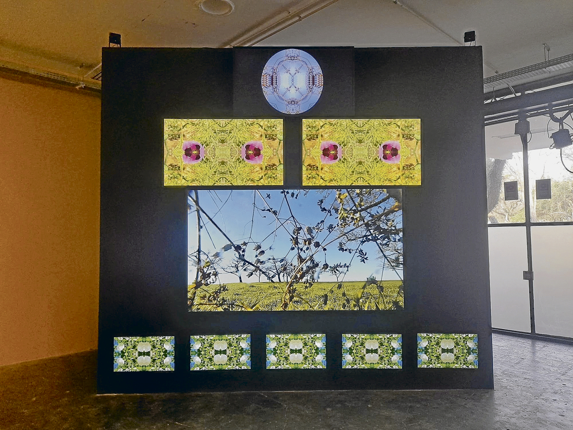 Biennale-in-S-o-Paulo-Wurzeln-im-Asphalt