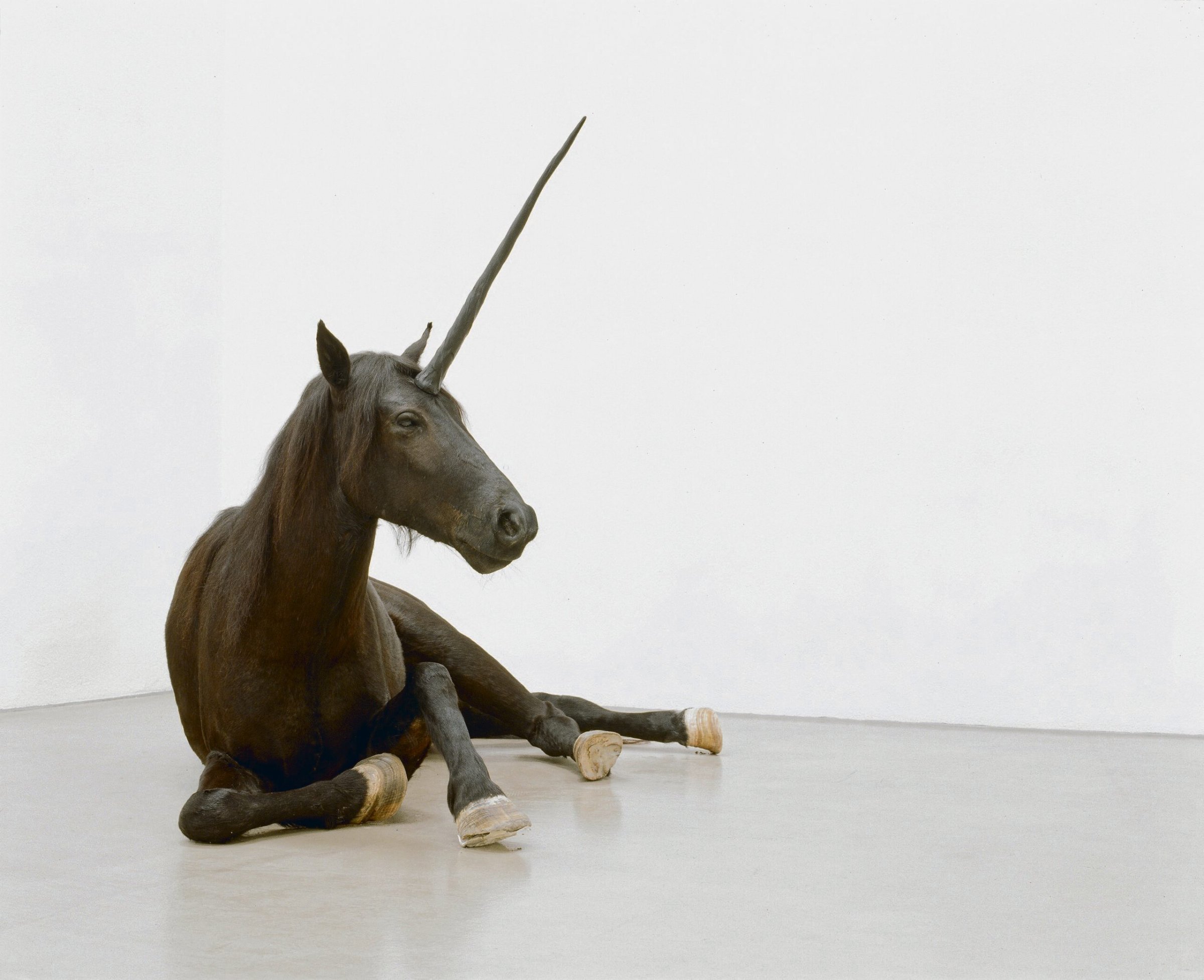 Museum-Barberini-Bitte-nicht-anfassen-Einh-rner-in-Potsdam