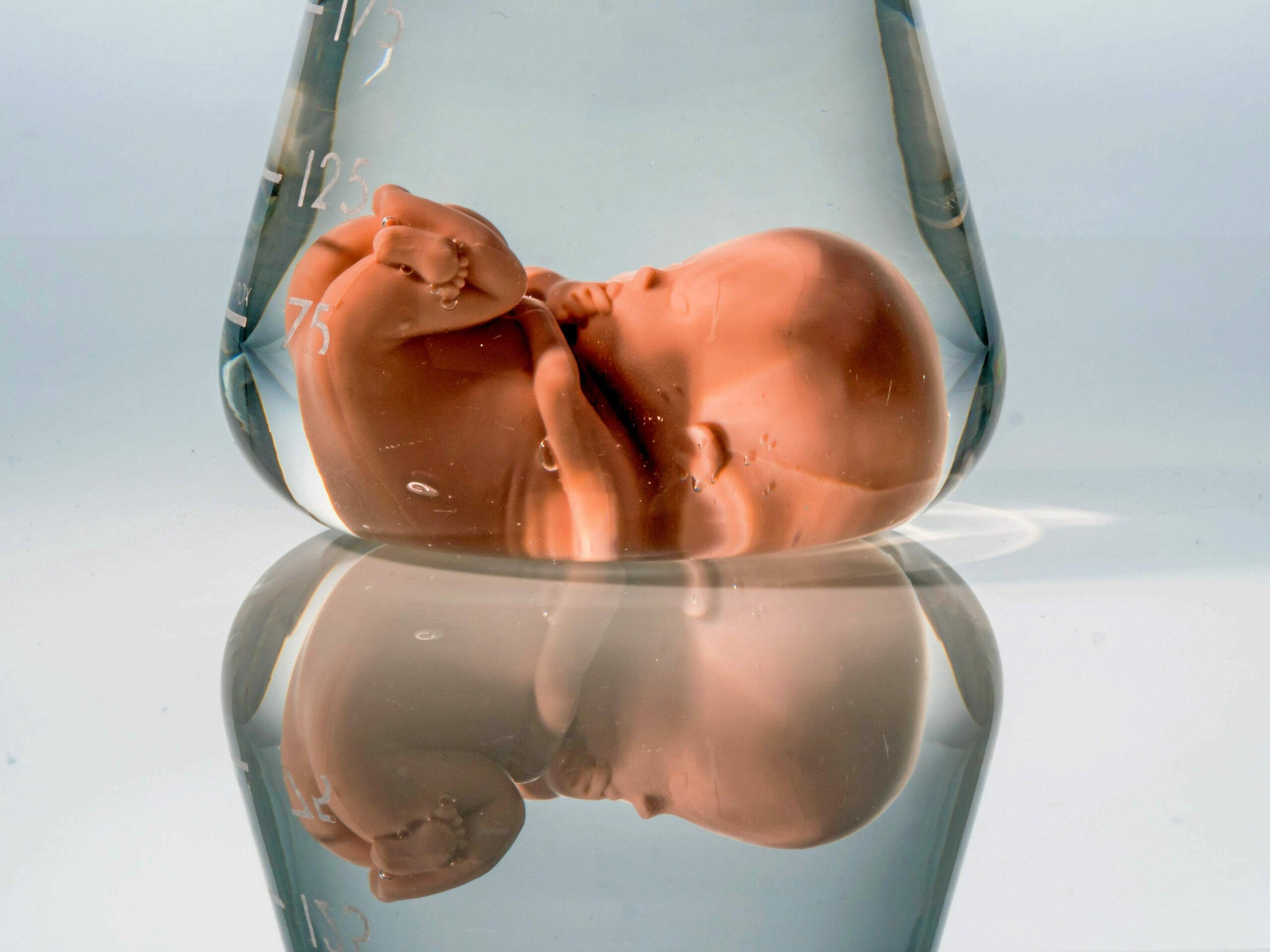 Gentechnik-Die-Eugenik-der-Tech-Milliard-re