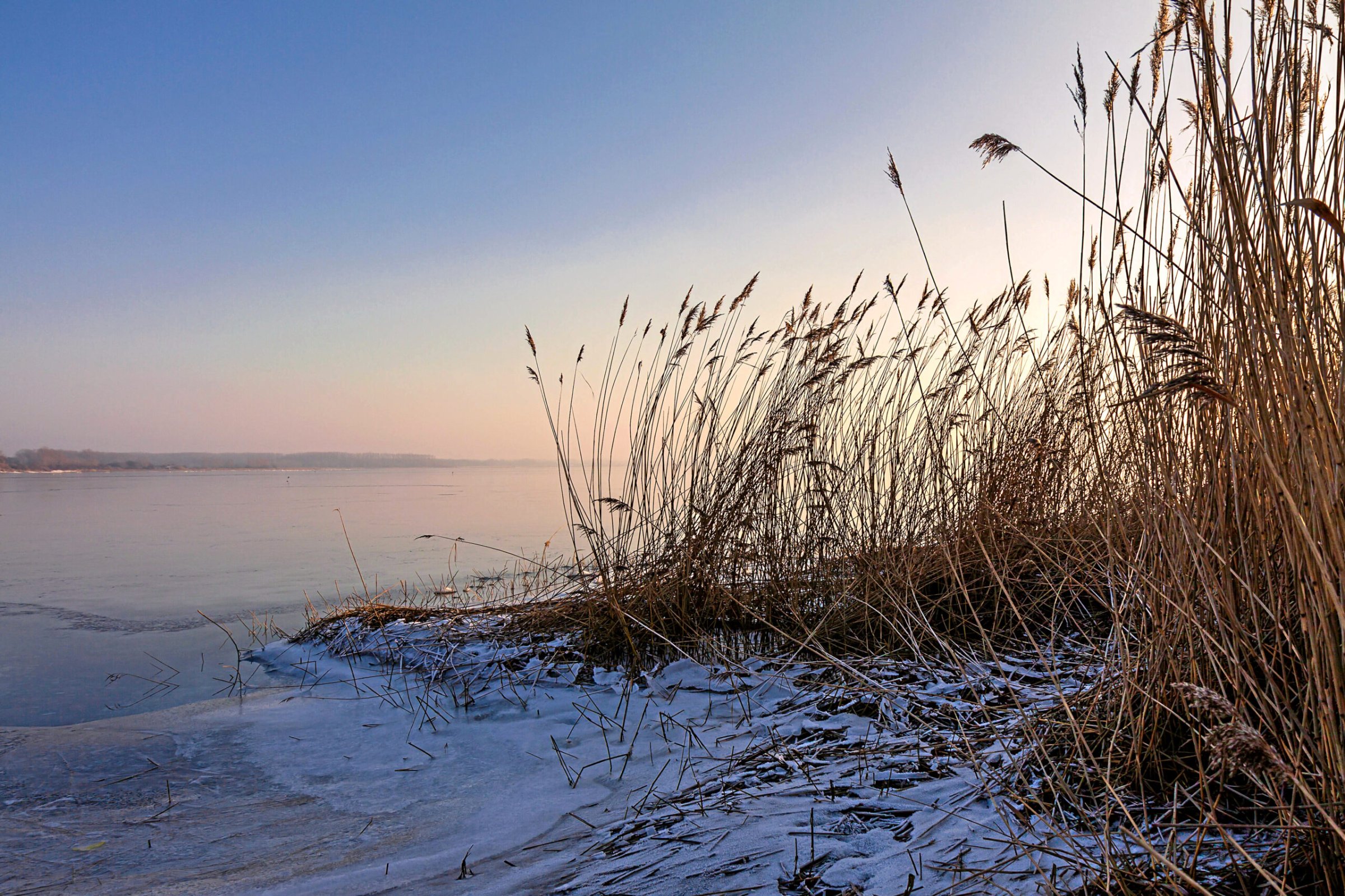 Mecklenburg-Vorpommern-Ostsee-au-er-Dienst-Wanderung-durchs-Salzhaff