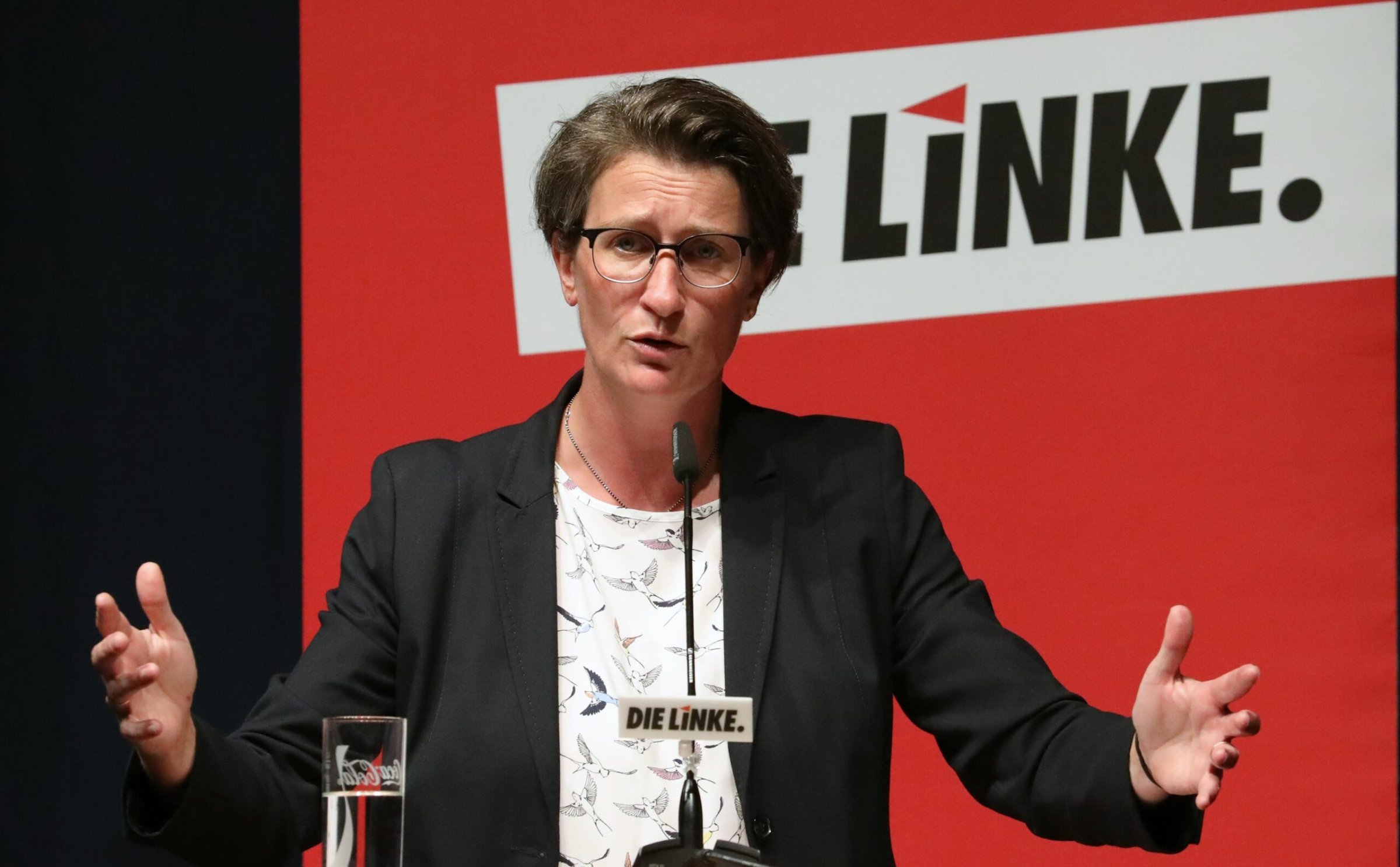 Wenke-Br-dgam-Deutschland-Fahnen-abgerissen-Politikerin-tritt-zur-ck