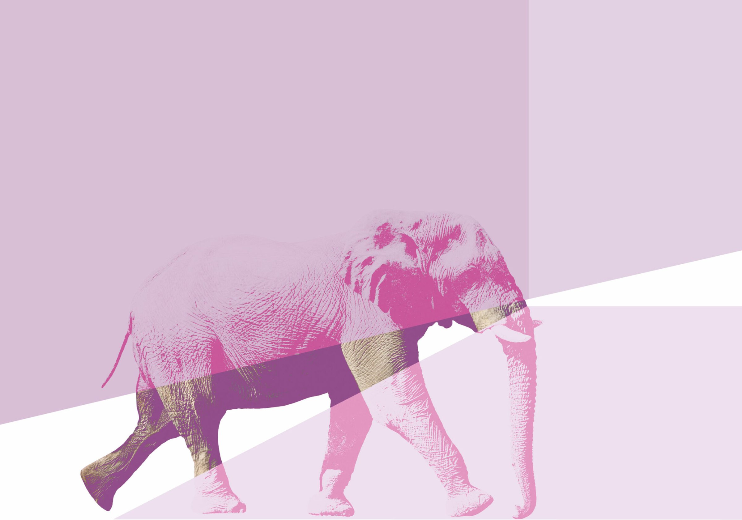 Buch-Die-verdr-ngte-Pandemie-Schlechte-Besserung