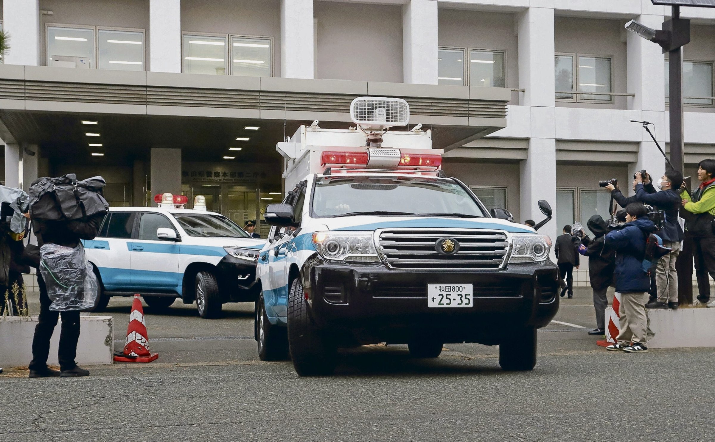 Problemb-ren-in-Japan-B-ren-kommen-in-die-Stadt