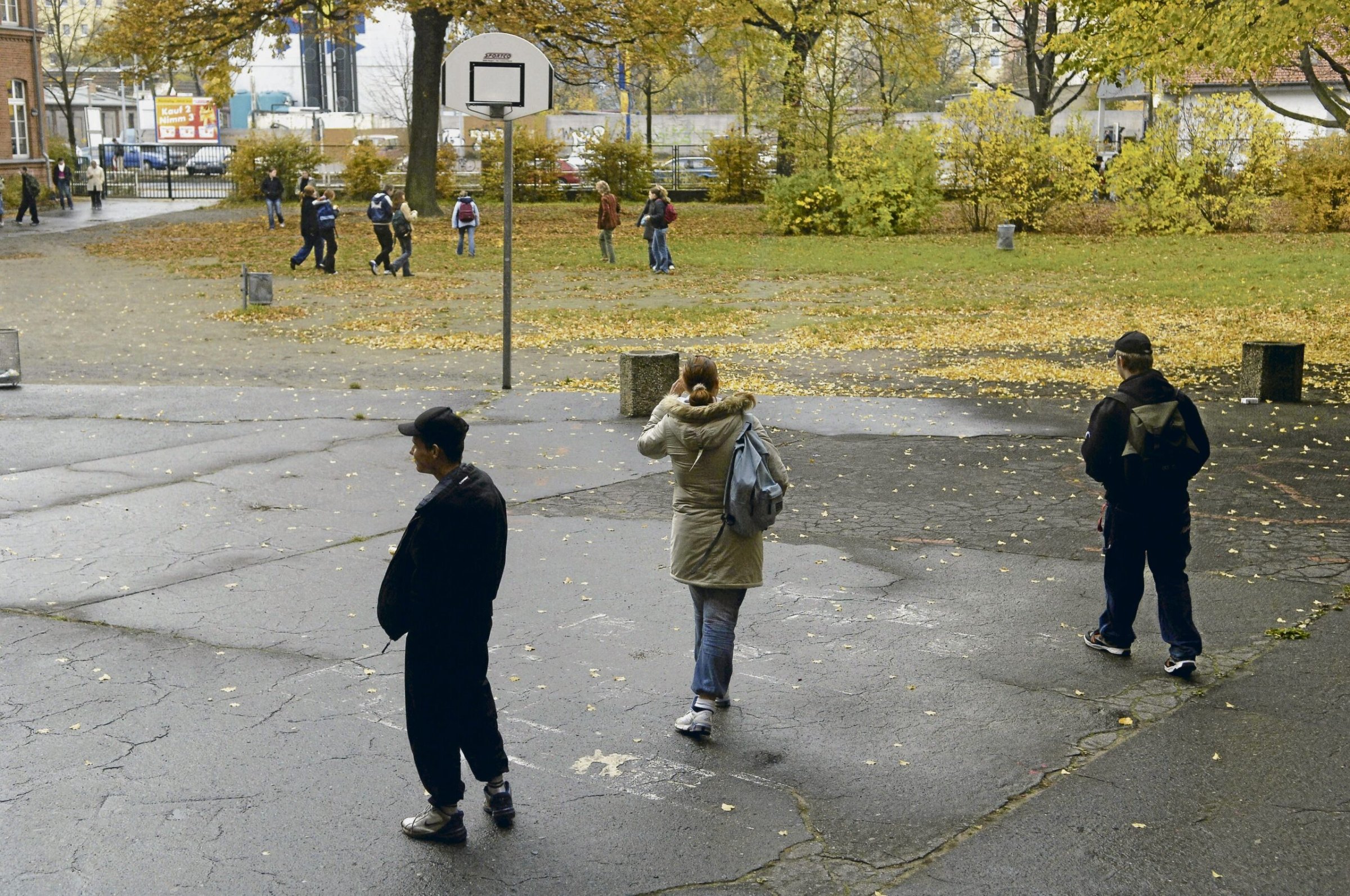 Bildung-Heinz-Brandt-Schule-in-Berlin-B-ume-oder-Schulpl-tze-