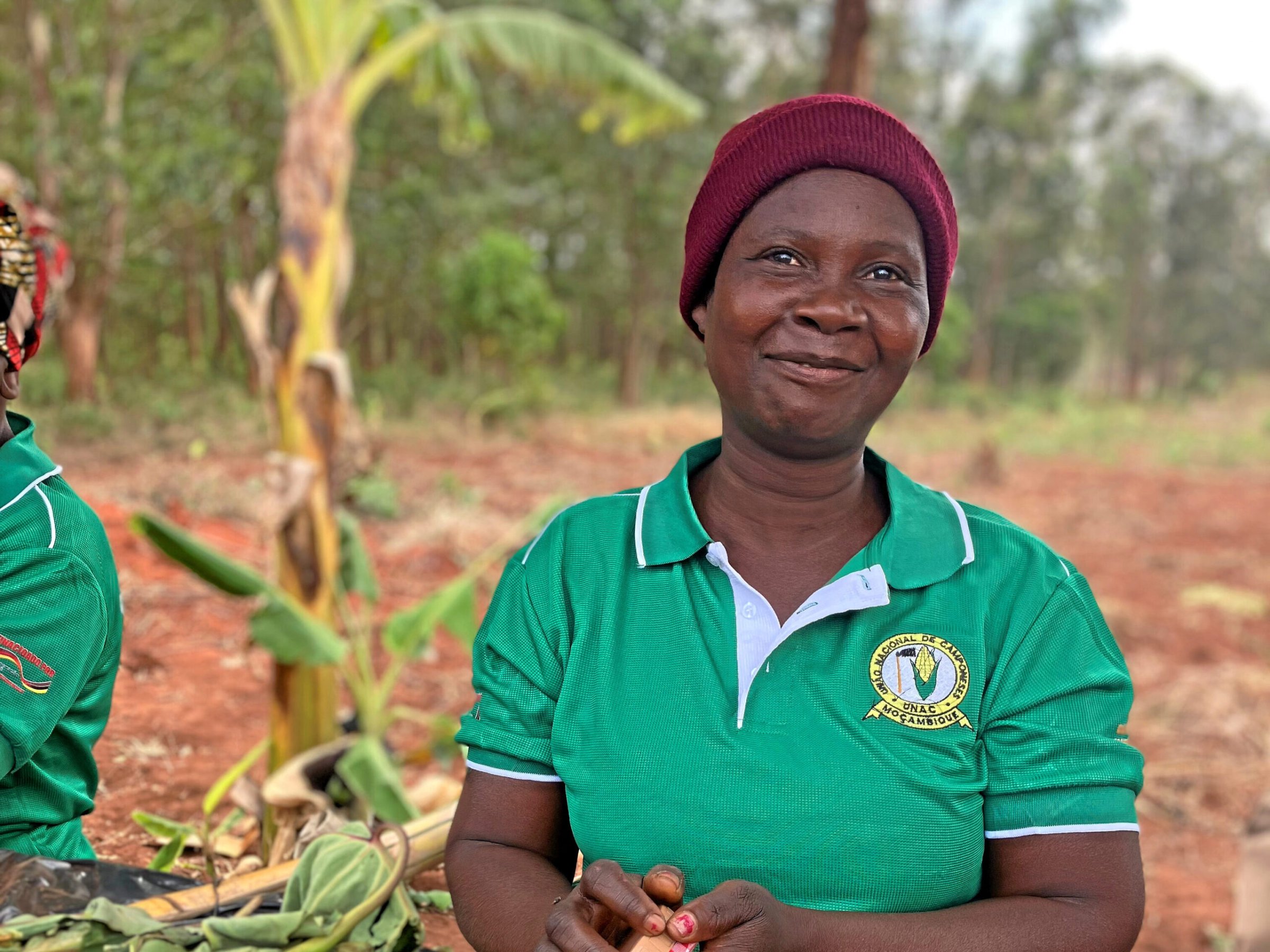 nd-Solidarit-tsaktion-Mosambik-Baobab-ist-ein-Superfood