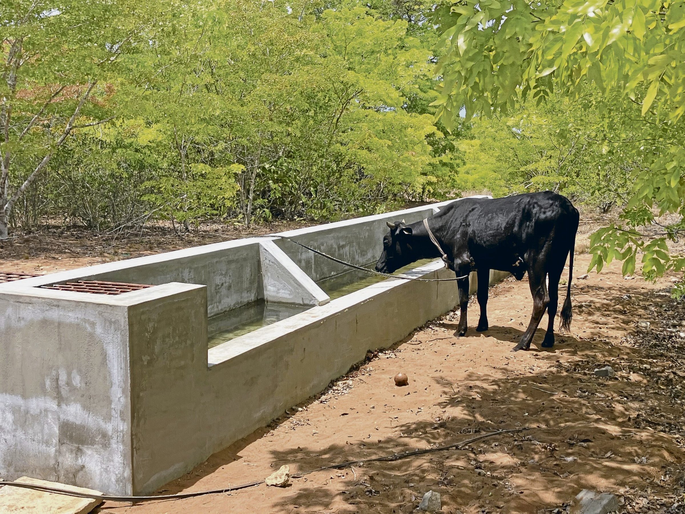 nd-Solidarit-tsaktion-Mosambik-Ein-Brunnen-f-r-Manjacaze