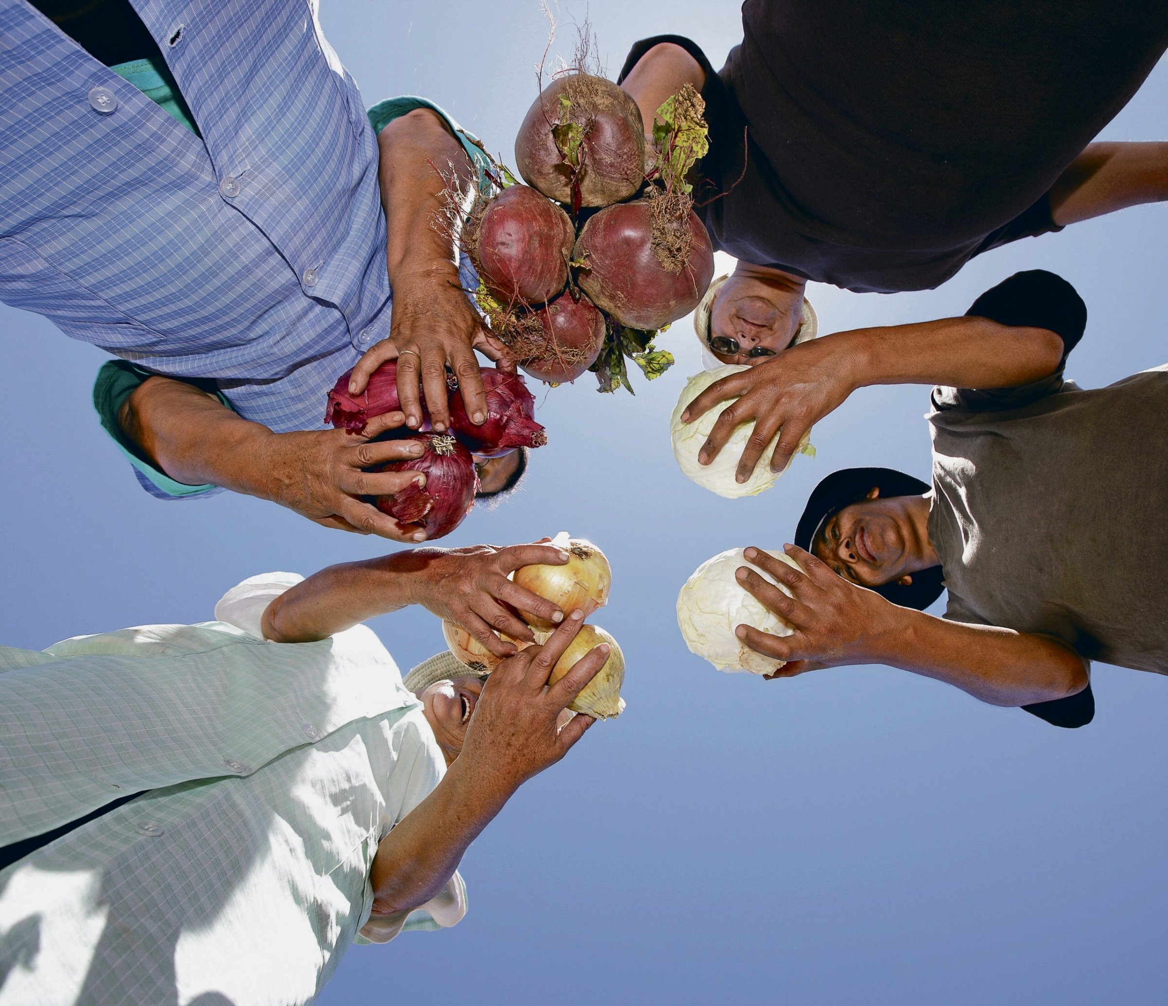 nd-Solidarit-tsaktion-Fehlende-Landrechte-machen-das-Leben-in-S-dafrika-schwer