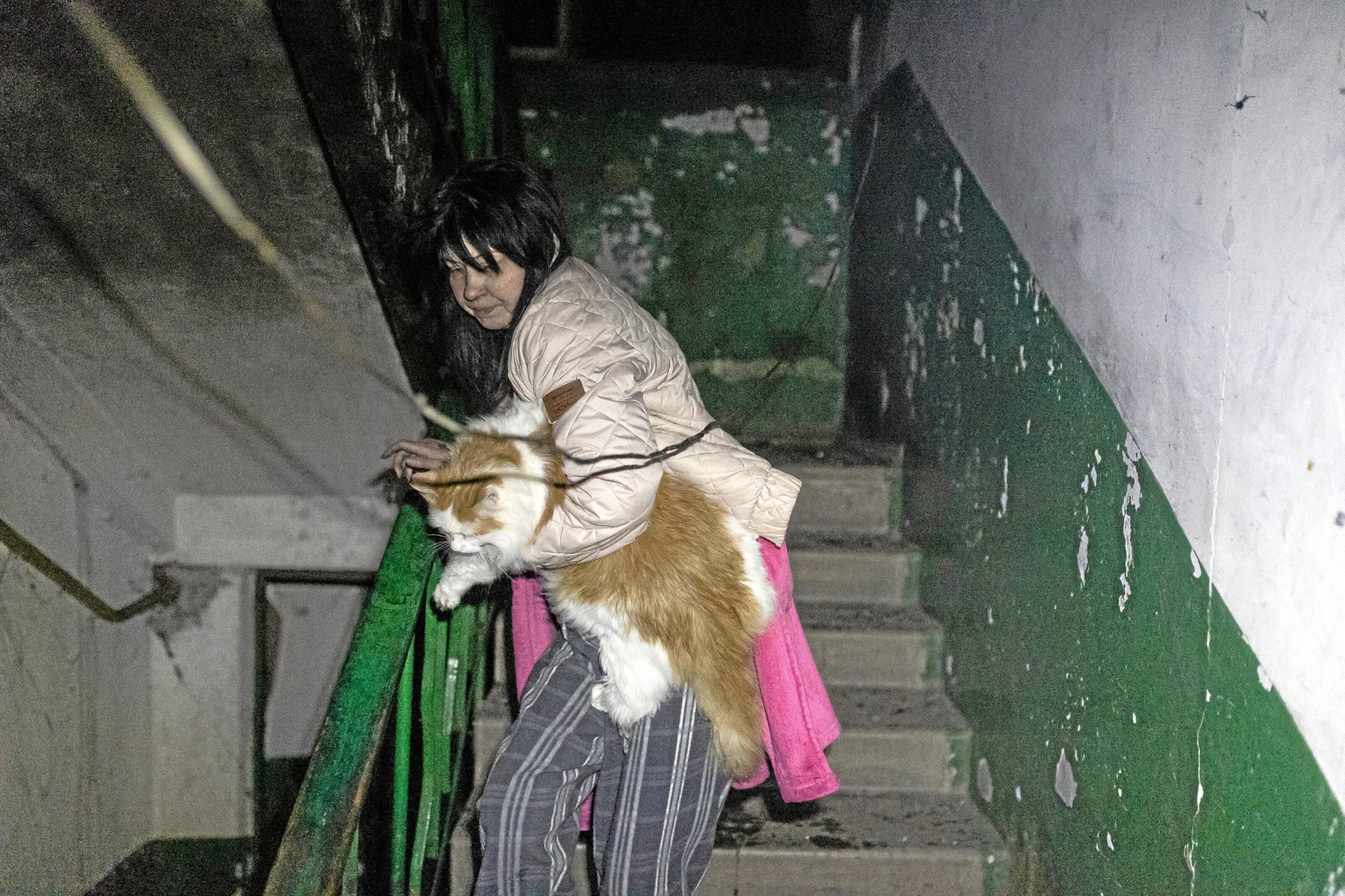 Russland-und-Frankreich-Ukraine-Krieg-Putin-w-rde-mit-Macron-reden