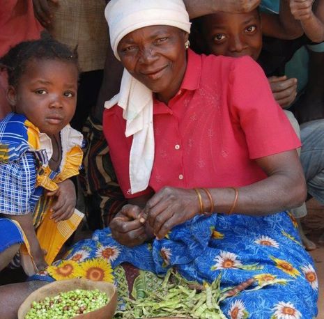 Mosambik: Gemüseanbau schafft neue Nahrungs- und Einkommensquelle.