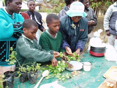 Die Aktivitäten von Environment Africa in Simbabwe helfen, hungrige Mägen zu füllen.
