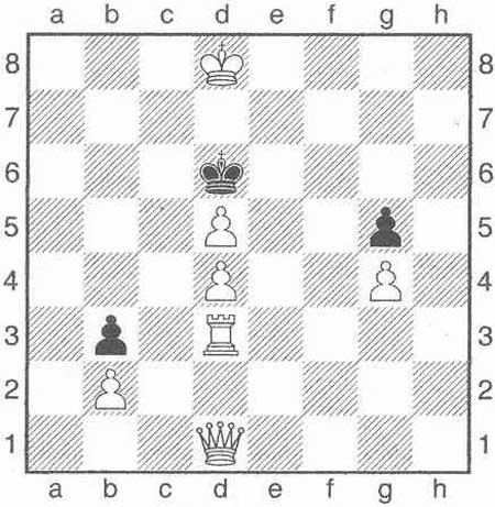Kurzweil - Schachspiel: Mathematikgenie