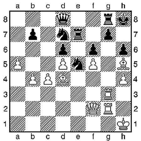 Schach: Neuer Stern