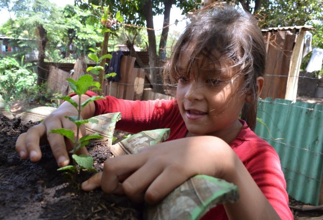 Auch Kinder helfen gerne und freiwillig beim Anbau in den »Stadtgärten gegen den Hunger« in Managua