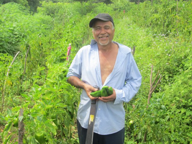 Miguel Ulloa in seinem Gemüsefeld: Es hat im Herbst genug geregnet, die Ernte war gut.