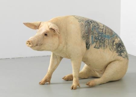 Das arme Schwein &#187;Linda&#171; wurde &#8211; noch zu Lebzeiten &#8211; von Wim Delvoye t&#228;towiert.