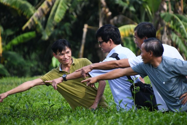 Kleinbauern im Dorf Ban Muong: Die Mitglieder der Teekooperative zeigen dem Projektpersonal ihre Teepflanzen.