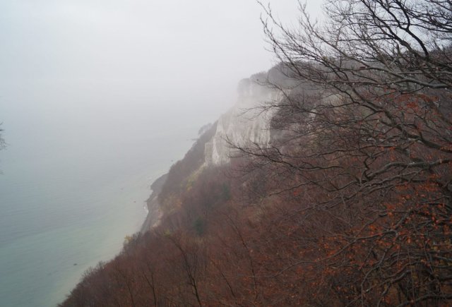 Auch im Nebel haben die Kreidefelsen auf Rügen ihren Reiz.