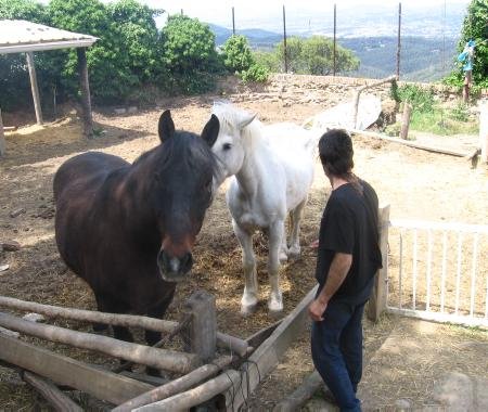Die Pferdepflege für Nachbarn stellt eine der wenigen monetären Einkommensquellen dar.