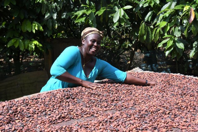 Elizabeth Osei Agyei freut sich über eine gute Ernte. Ob es gute Preise für die Kakaobohnen gibt, bleibt offen.