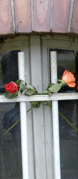 Blumen am Kellerfenster des SA-Knastes