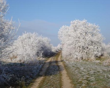 Winterzauber am M&#228;rkischen Landweg