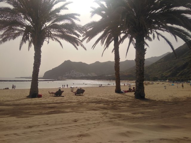 Derzeit überwiegend lokal besucht: Der Playa Teresitas nördlich von Santa Cruz