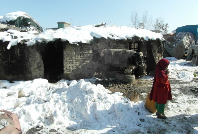 Hilfsorganisationen planen die Winterhilfe in Afghanistan und verteilen Lebensmittel sowie medizinische Güter.
