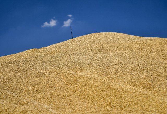 Bild aus friedlicheren Zeiten: Geernteter Weizen in der Nähe des Dorfes Lukasheve in der Region Saporischschja im Südwesten der Ukraine