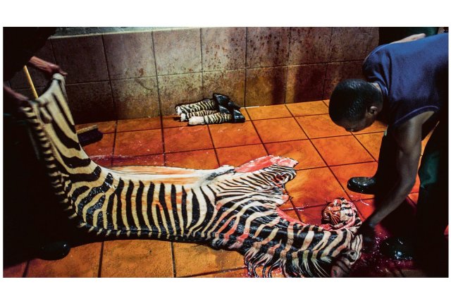 Das getötete Tier muss herhalten für die Macht- und Bindungsgelüste seines Erlegers, des Großwildjägers in Seidls Film »Safari« und im gleichnamigen Bildband.