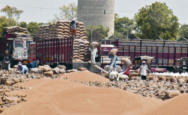 Getreidemarkt in der nordindischen Großstadt Amritsar