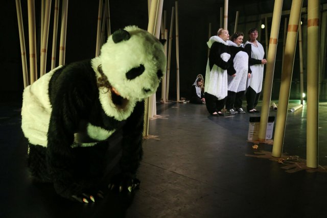 Nur nicht einhegen lassen: Panda-Pussies auf der Bühne der Berliner Sophiensaele
