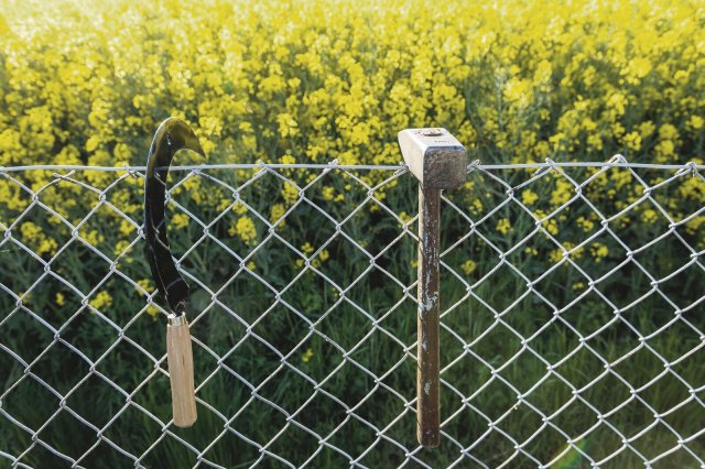Hammer und Sichel – nur über den Zaun oder schon ganz an den Nagel gehängt?