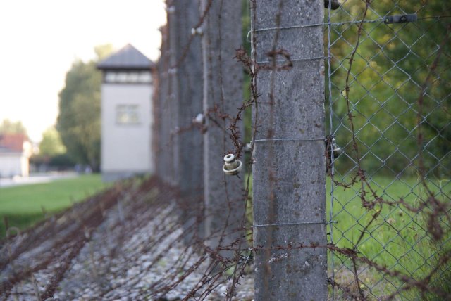 Gedenktag an ermordete Sinti und Roma: Antiziganismus und Holocaust: Aus der Geschichte lernen