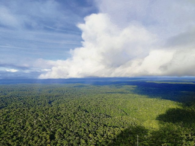 Bald weniger Regenwolken über dem Amazonaswald?
