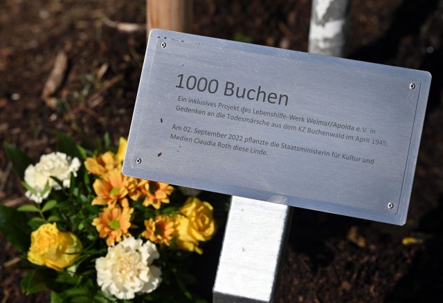 Erinnerung an die NS-Zeit: Eine kleine Metalltafel erinnert an die 73. Pflanzaktion des Gedenkprojekts "1000 Buchen" in Weimar. Foto: dpa/Martin Schutt
