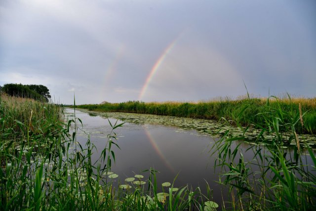 Ein Regenbogen steht über einem trügerisch ruhigem Wasserkanal im Westhavelland – die Strömung kann es allerdings in sich haben.