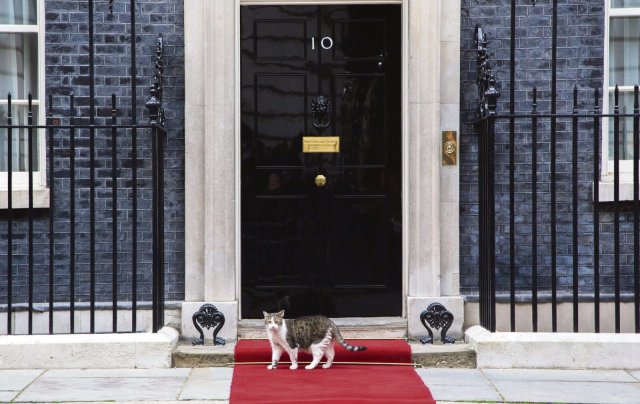 Kater Larry, der Chief Mouser to the Cabinet Office, ist leider wieder allein zu Haus.