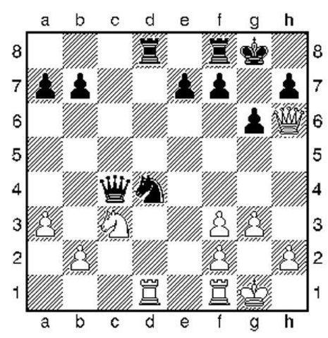 Kurzweil - Schachspiel: Glänzende Saison für Michael Roiz