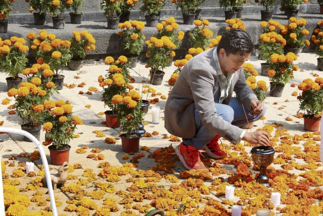 Die Studentenblume Cempasúchil ziert den kleinen Platz neben dem Revolutionsdenkmal.