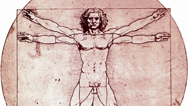 Der vitruvianische Mensch, Leonardo da Vincis Proportionsideal, ist ein Mann. Der männliche Körper stellte lange Zeit ungebrochen die wissenschaftliche und medizinische Norm dar – mit Konsequenzen für alle, die ihn nicht haben.